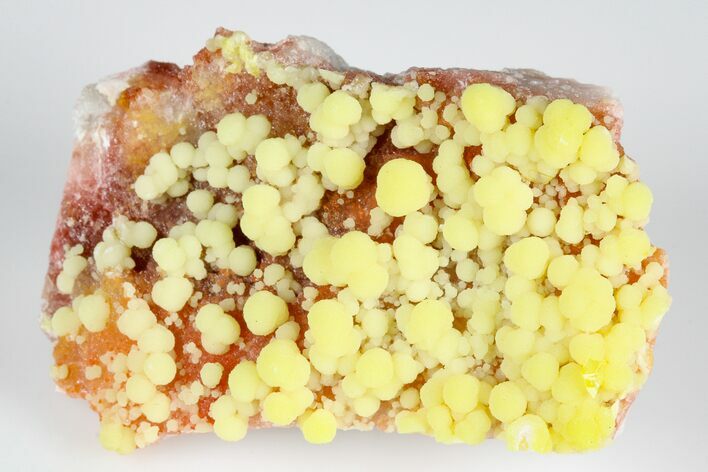 Botryoidal Yellow Mimetite - La Morita Mine, Mexico #183931